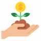 investment